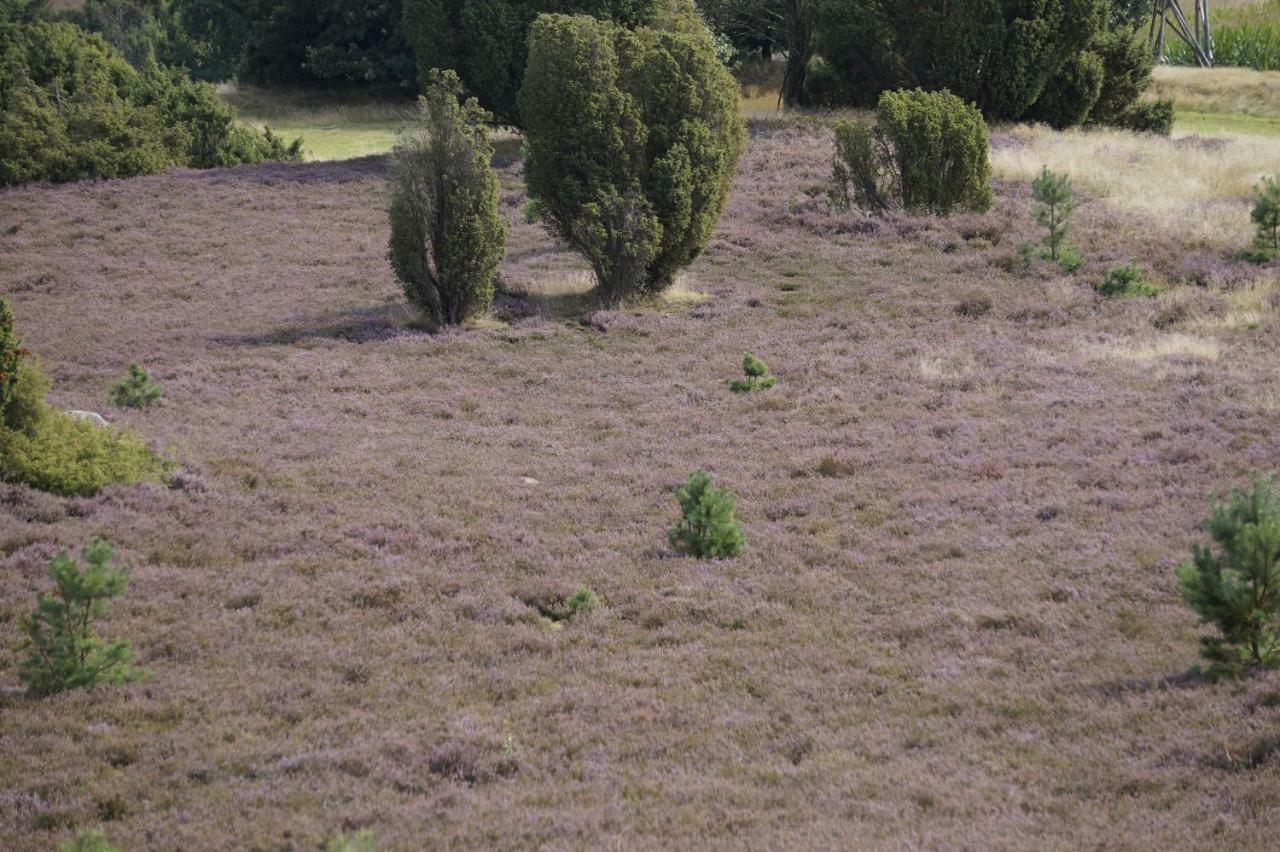 Ferienhaus Wahlers Bispingen Bagian luar foto