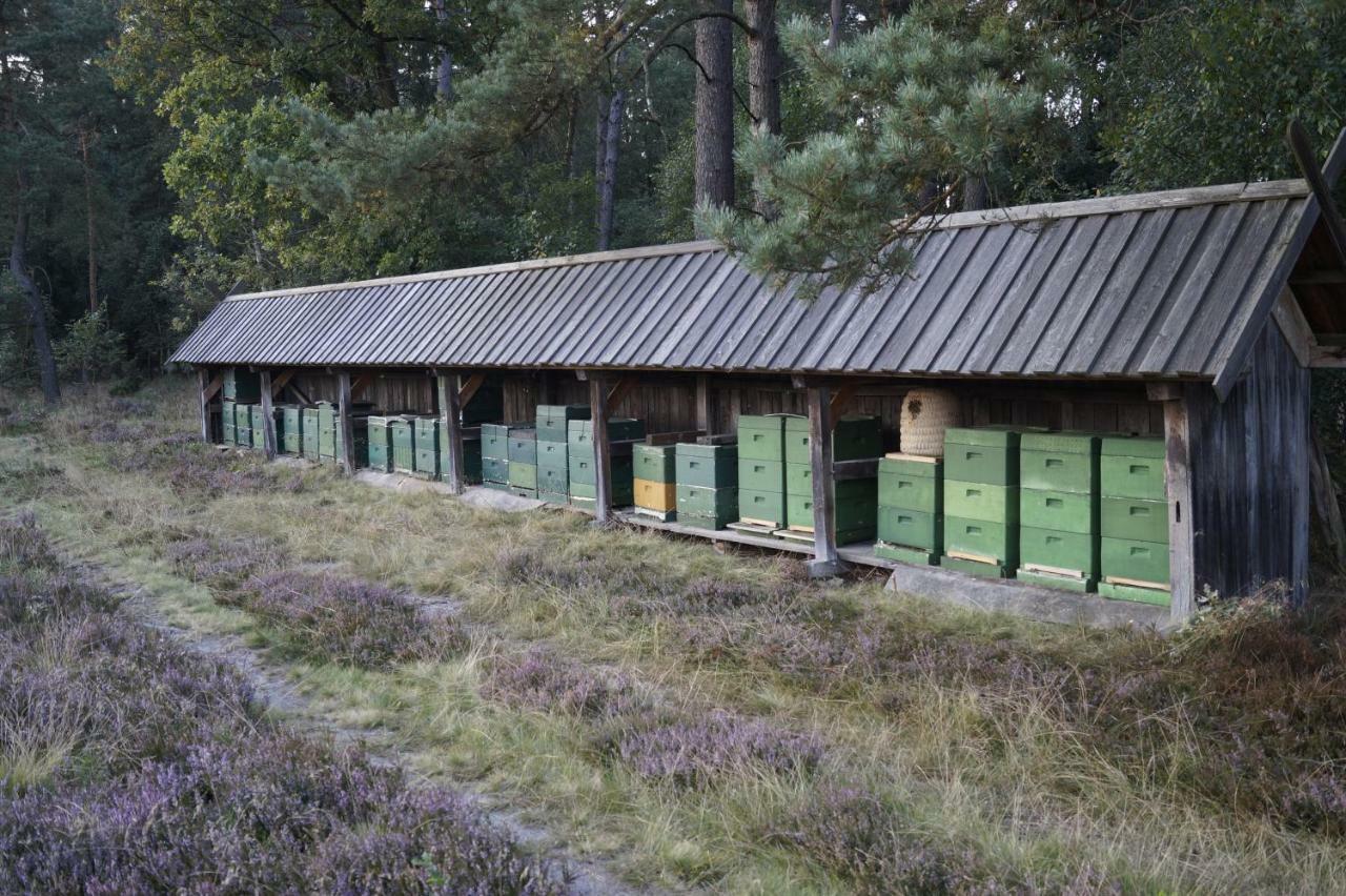 Ferienhaus Wahlers Bispingen Bagian luar foto