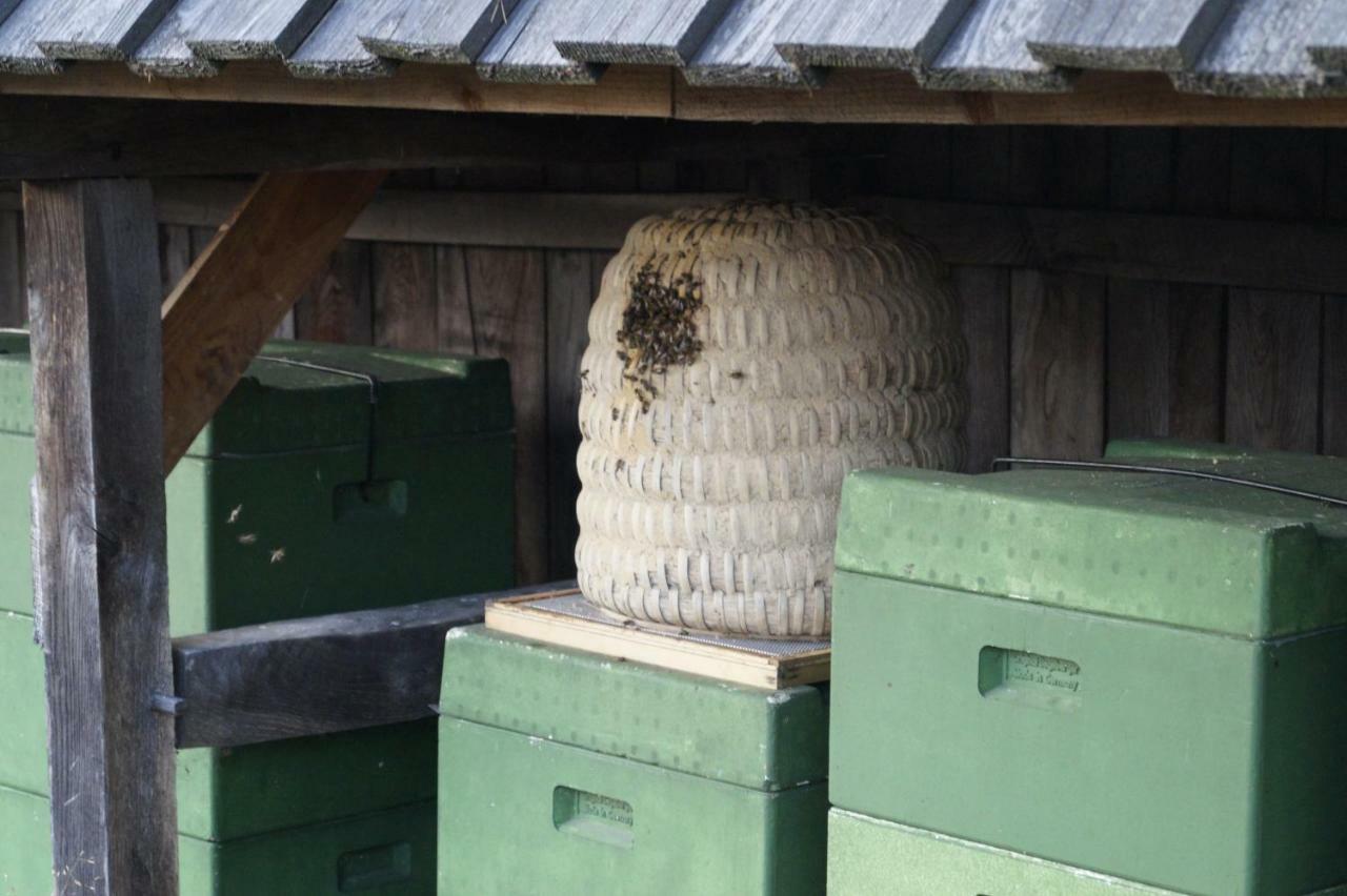 Ferienhaus Wahlers Bispingen Bagian luar foto